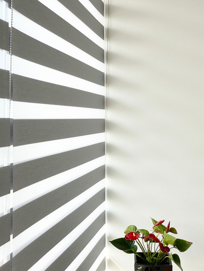 A minimalist indoor room featuring striped window blinds and a potted Anthurium plant on a white wall.